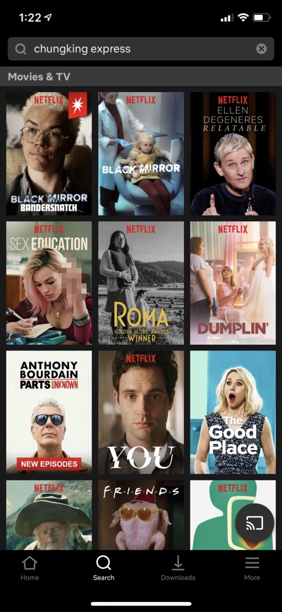 Screenshot of Netflix search results